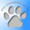 dogs4sale_logo.jpg